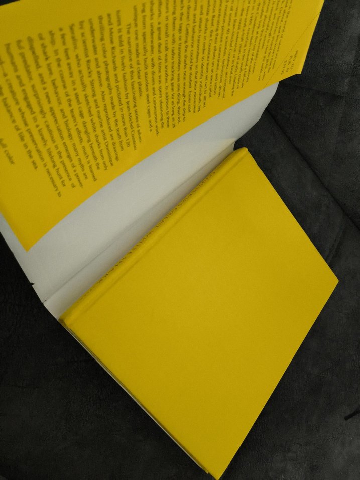 Cousteau'nun Büyük Beyaz Köpekbalığı Kitabı - Görsel 4