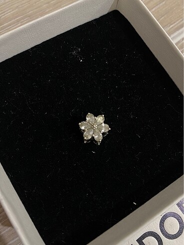 Pandora Pandora charm