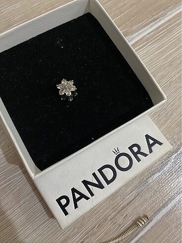 Pandora charm
