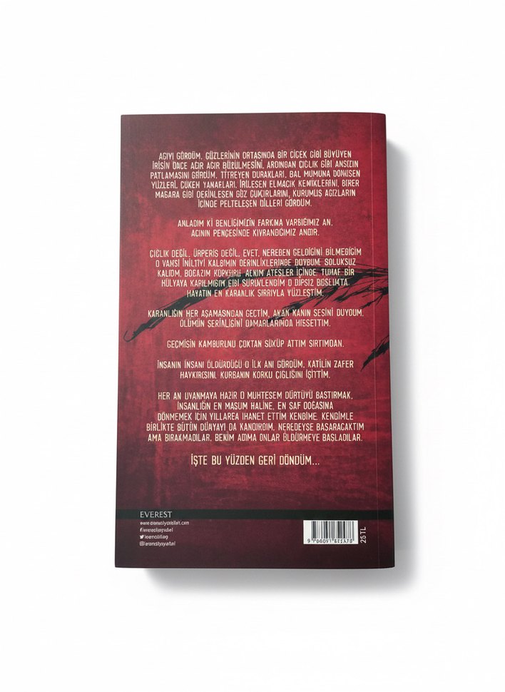 Kırlangıç Çığlığı - Ahmet Ümit - Görsel 2