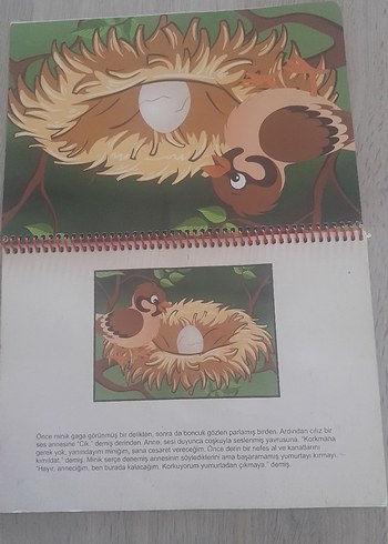 Yavru Serçe - Çocuk Hikaye Kitabı - Görsel 6
