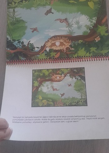 Yavru Serçe - Çocuk Hikaye Kitabı - Görsel 4