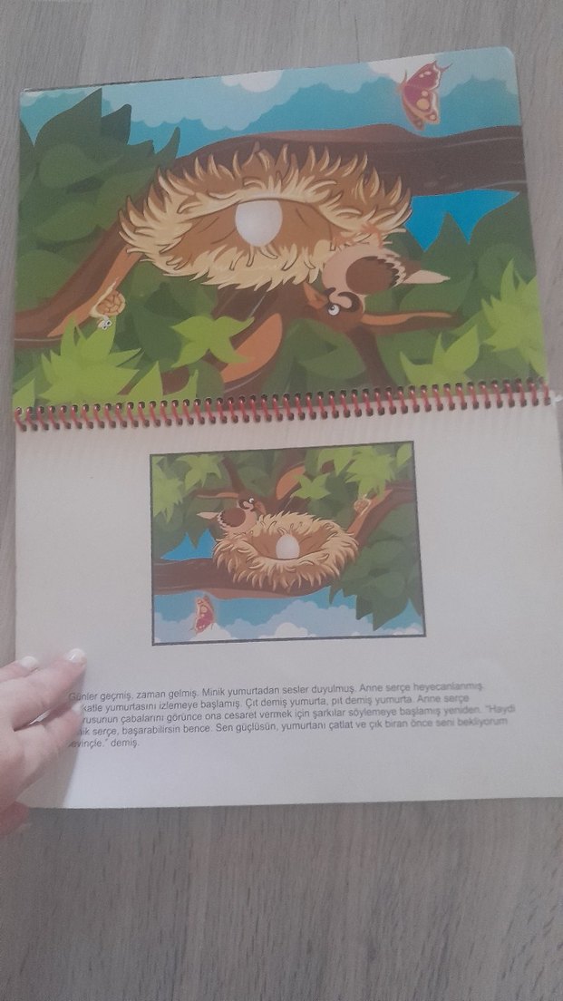 Yavru Serçe - Çocuk Hikaye Kitabı - Görsel 5