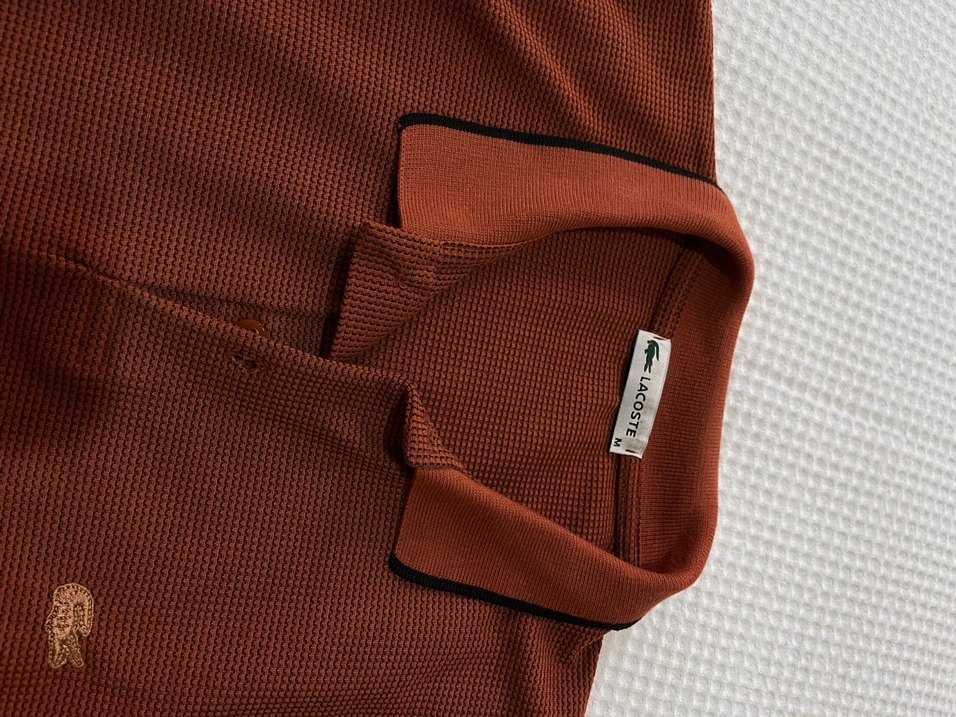 Lacoste Erkek Kahverengi  Polo Tişört - Görsel 2
