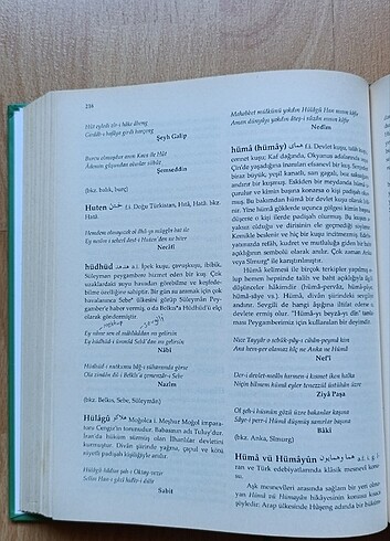 Ansiklopedik Divân Şiiri Sözlüğü - Görsel 7