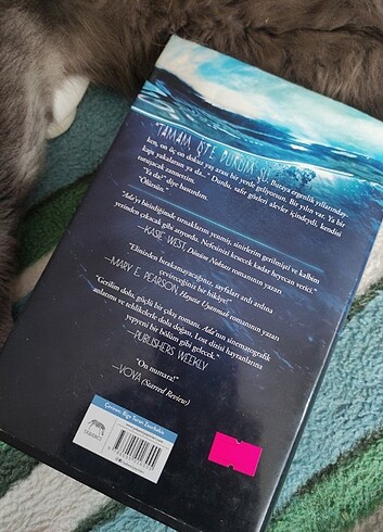  Ada Lynne Matson kitap