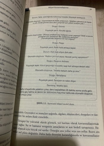 Beden Bilişsel Davranışçı Terapi - Temelleri ve Ötesi