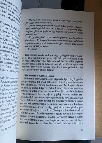 Beden Renk Bilişsel Davranışçı Terapi - Temel İlkeler ve Uygulama
