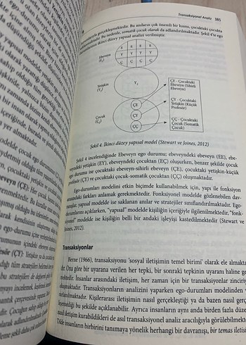 Psikolojik Danışma ve Psikoterapi Kuramları Kitabı