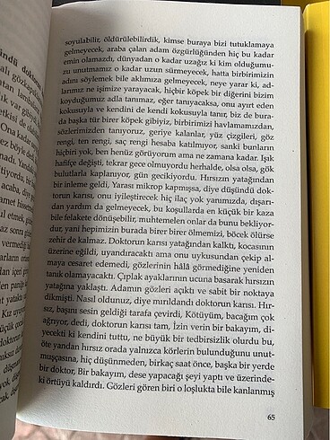Körlük, görmek