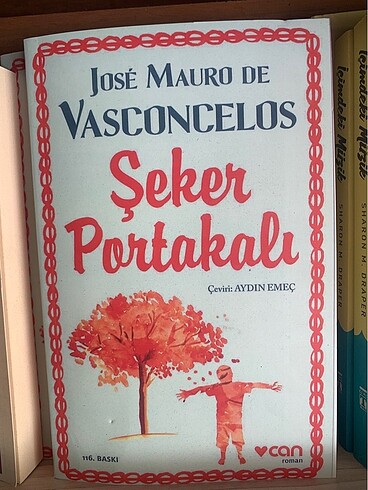Şeker portakalı