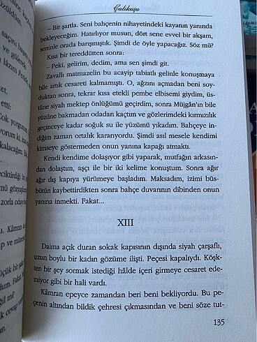 Beden Renk Çalıkuşu+sait faik seçme hikayeler