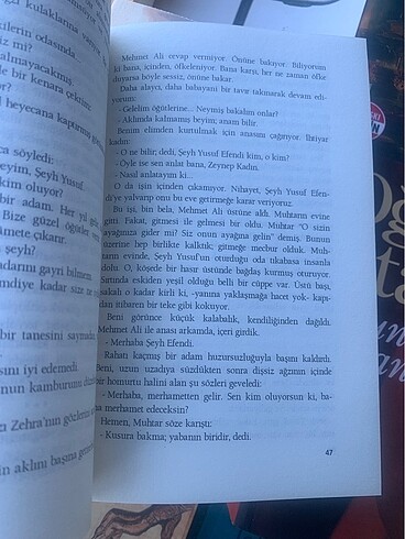 Beden Renk Yaban
