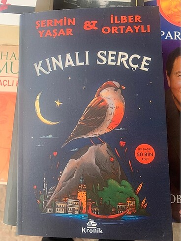 Kınalı serçe