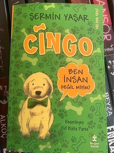 Cingo