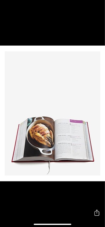 Beden Renk Phaidon Silver Spoon Yemek Kitabı