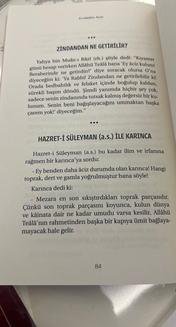 Feridüddin Attar - Kuş Dili Kitabı - Görsel 3