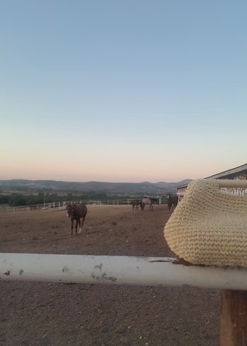 Mango Örgü Kadın Clutch Çanta Bej