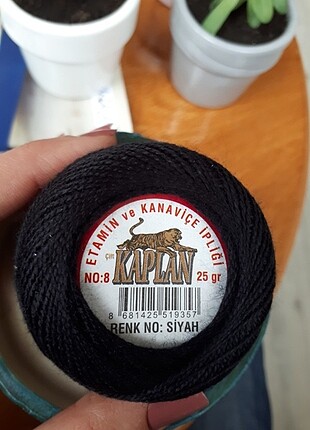 Kaplan etamin ipi