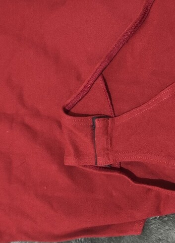 Çit çitli badi  - Görsel 2