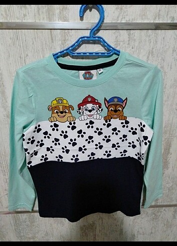 4 Yaş Beden çeşitli Renk Paw Patrol erkek çocuk sweatshirt 