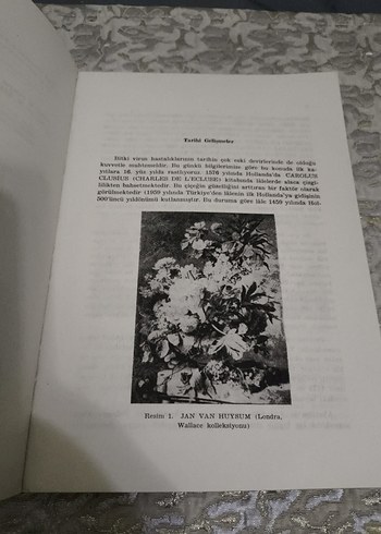 Bitki Virüs Hastalıkları - Genel Kısım - Görsel 6