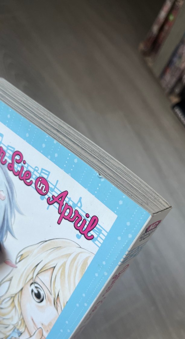 your lie in april ingilizce manga 1 - Görsel 3