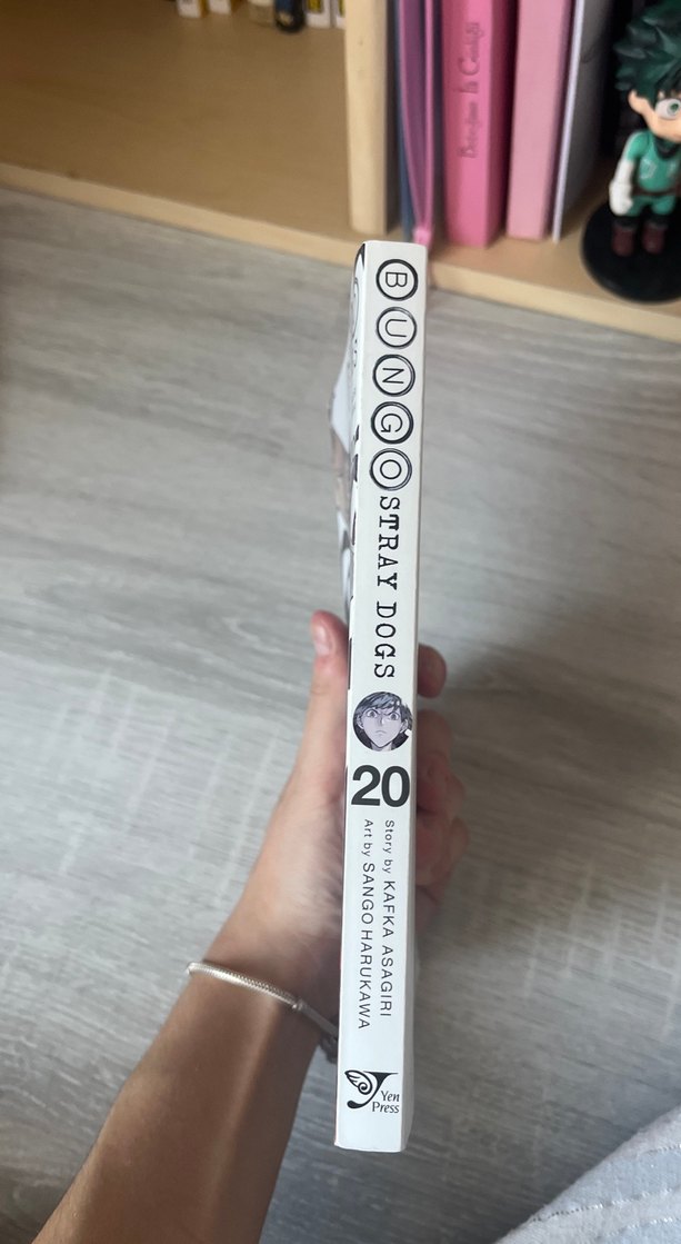 bungo stray dogs ingilizce - Görsel 2