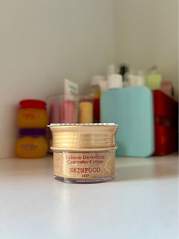 Skinfood salmon concealer 02