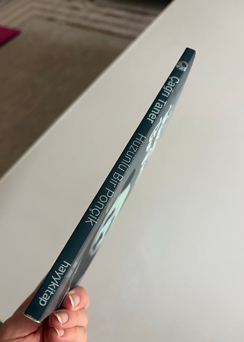 Hüzünlü Bir Ponçik - Çağrı Taner - Görsel 4