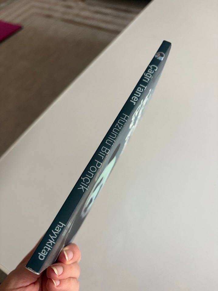 Hüzünlü Bir Ponçik - Çağrı Taner - Görsel 4