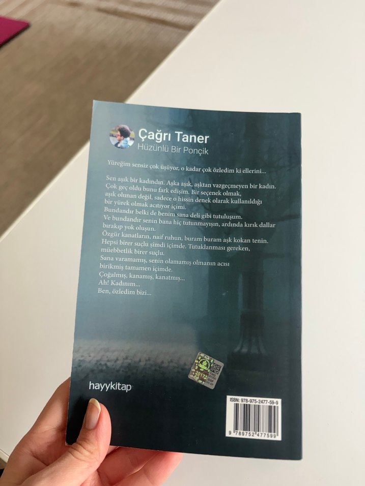 Hüzünlü Bir Ponçik - Çağrı Taner - Görsel 3