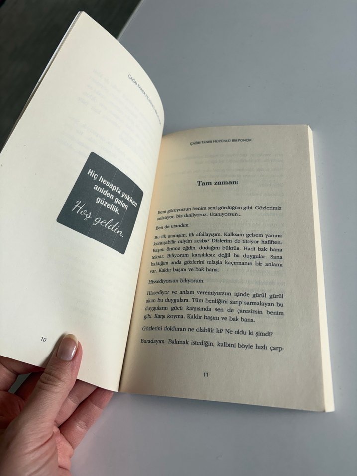 Hüzünlü Bir Ponçik - Çağrı Taner - Görsel 2