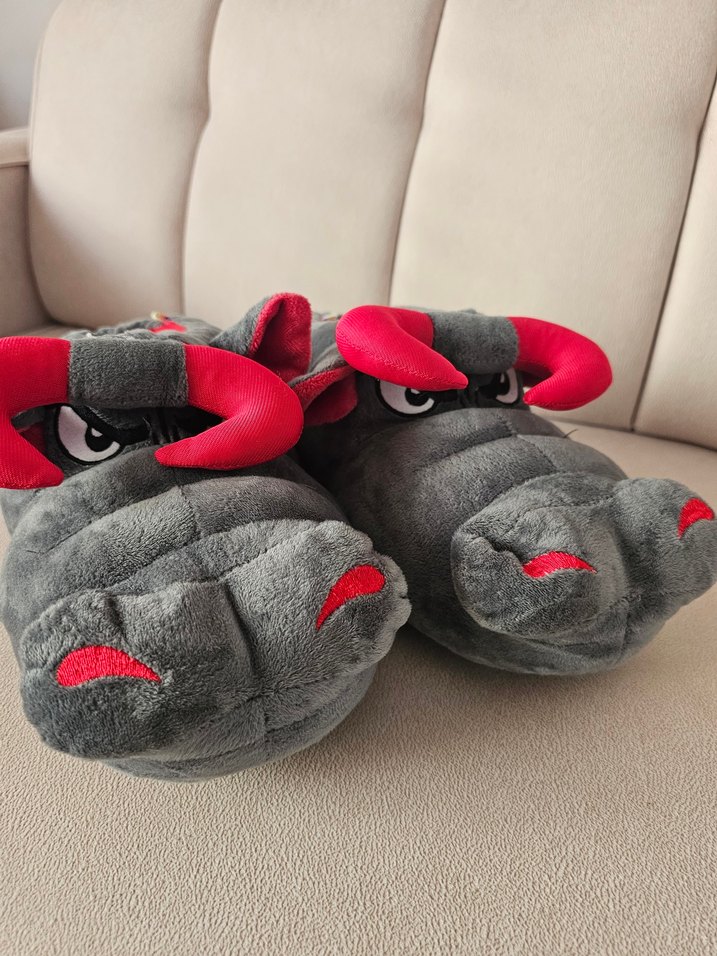 Twigy Gri Erkek Çocuk Ev Terliği - Görsel 2