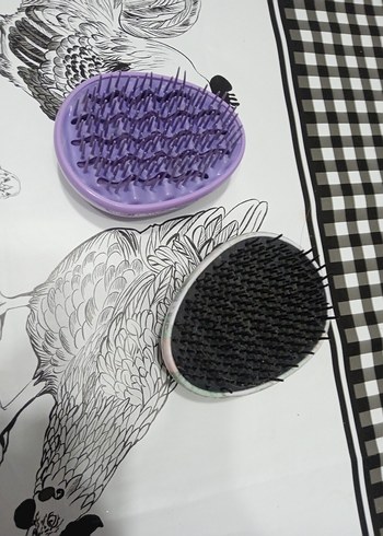 Eklips Oval Saç Fırçası Çeşitleri