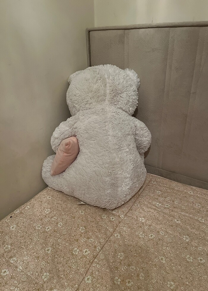 Peluş Ayı - Görsel 2