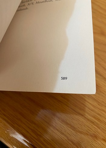 Ken Wilber - Boomeritis Roman - Görsel 4