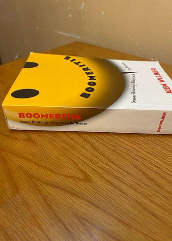 Ken Wilber - Boomeritis Roman - Görsel 2