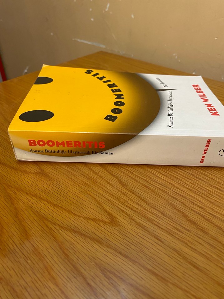 Ken Wilber - Boomeritis Roman - Görsel 2