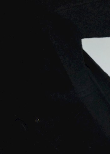 Düğmeli Siyah Kaban - Görsel 3