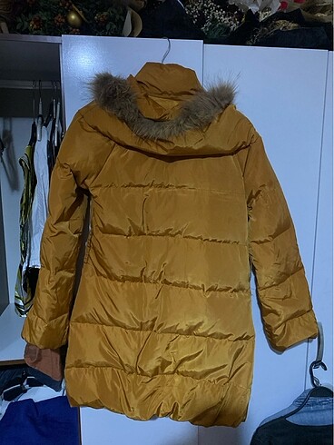 l Beden Colins mont