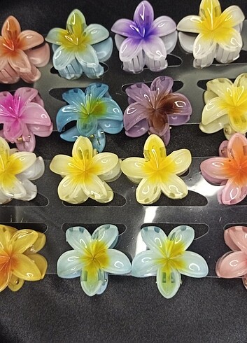 Renkli Lotus çiçeği tokalar ????