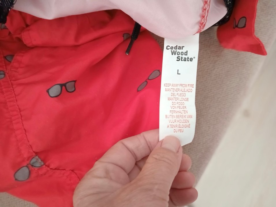 Renkli Mini Erkek Deniz Şortu - Görsel 3