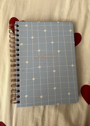 Mavi Kareli Spiralli Defter
