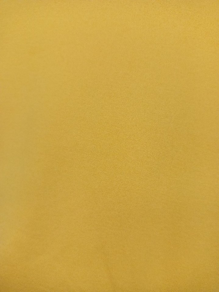 Sarı Uzun Kollu Kısa Kadın Bluz - Görsel 2