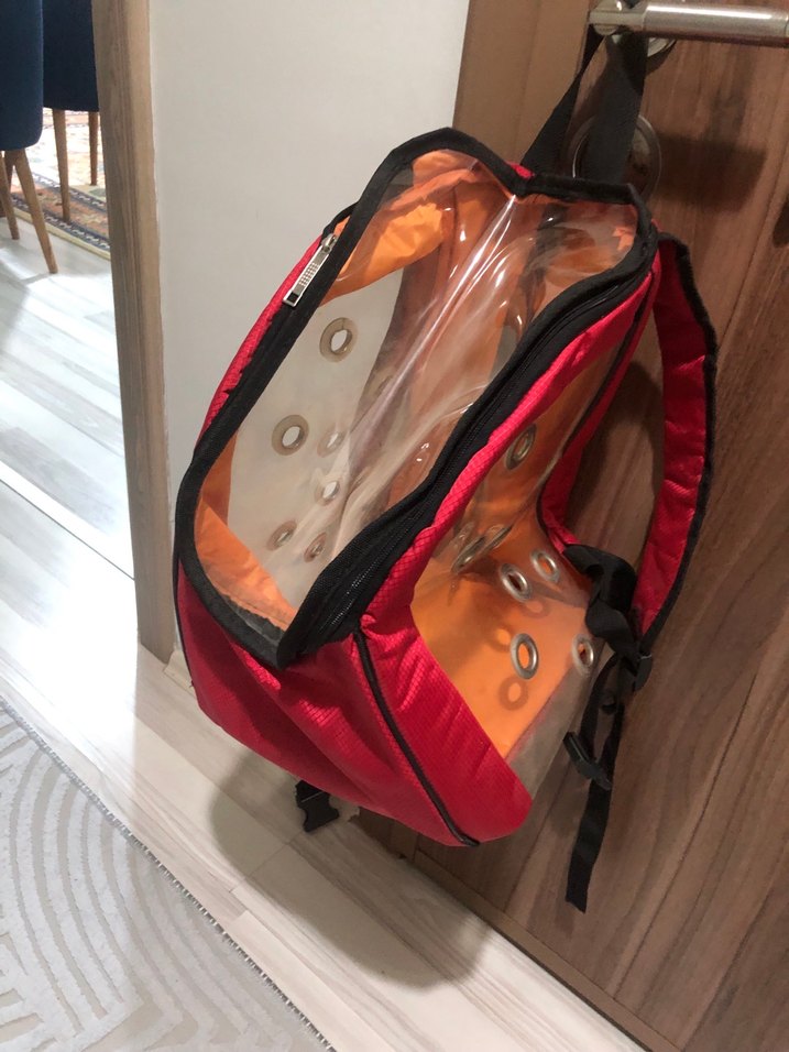 Şeffaf Panelli Kırmızı Taşıma Çantası - Görsel 2