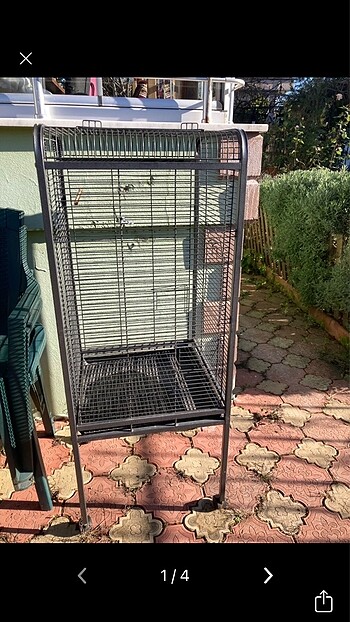 papağan kafesi
