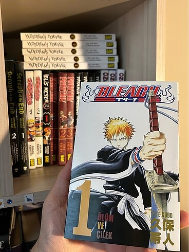 Bleach 1. Cilt