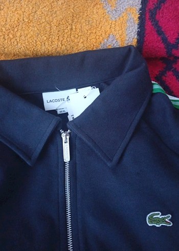 Lacoste xl