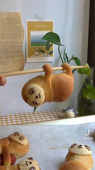 bilgesu hanım